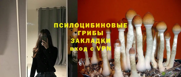 твердый Алзамай