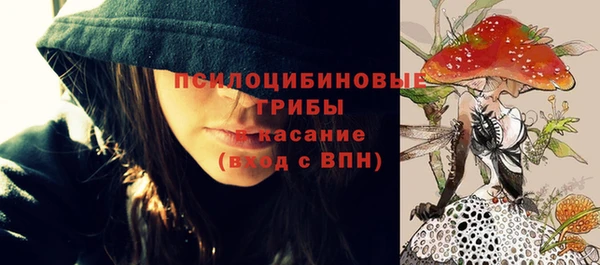 твердый Алзамай