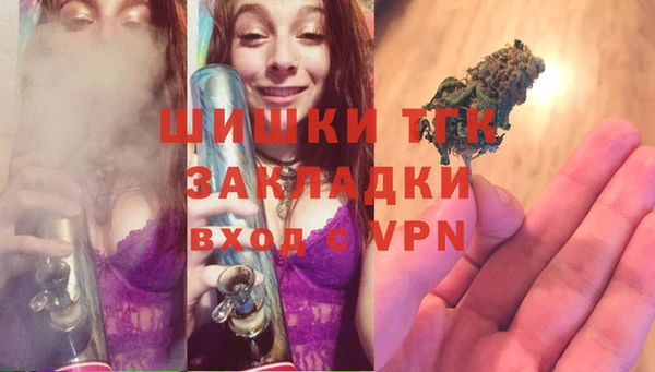 spice Алексин