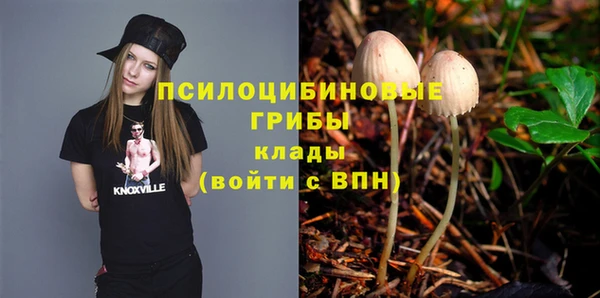 мяу мяу мука Алексеевка